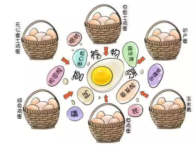 遍尋菜譜收集的雞蛋7中新吃法，第2中最好，第7中最營養(yǎng)